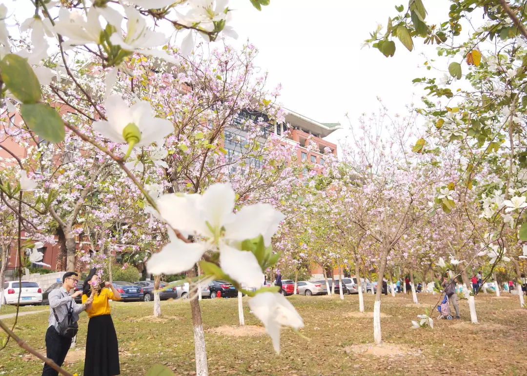 华南农业大学